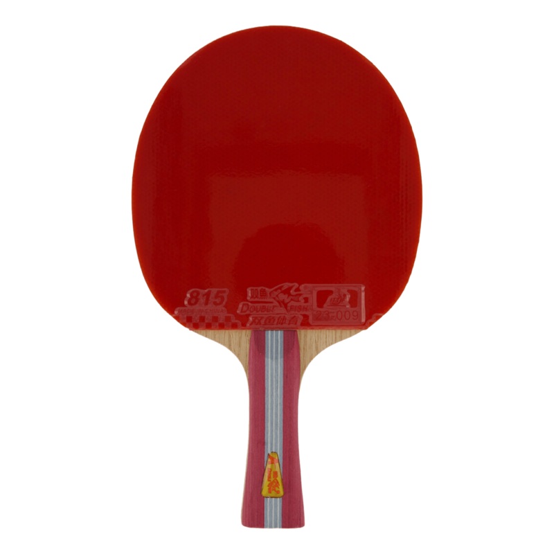 1a+ Table Tennis Racket|ONESIZE